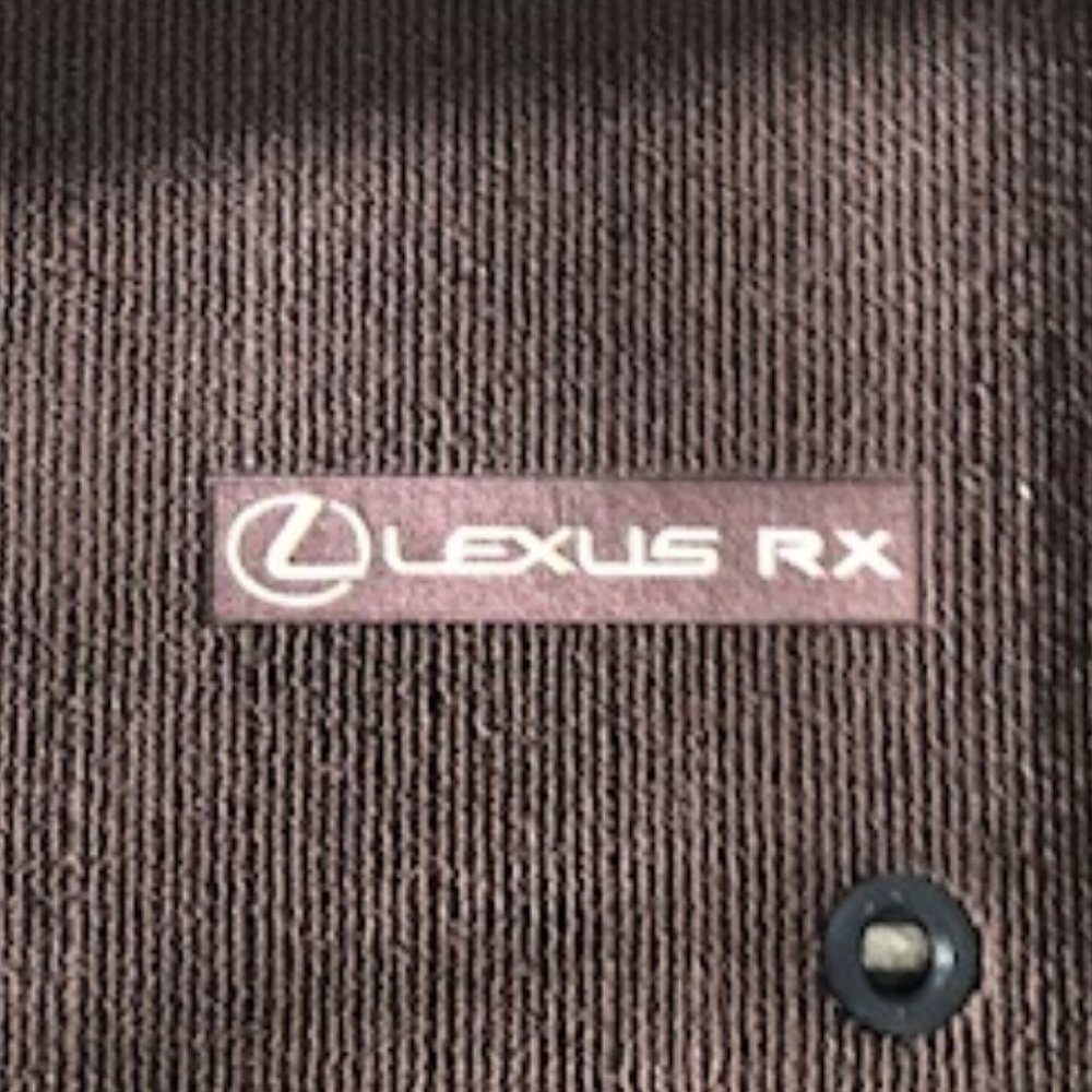 Genuine Lexus RX350 Floor Mats - $120